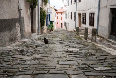 Famous Motovun, Istra, Croatia