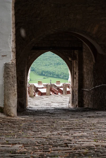 Famous Motovun, Istra, Croatia — 스톡 사진