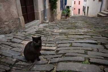 Famous Motovun, Istra, Croatia