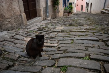 Famous Motovun, Istra, Croatia