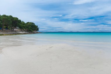 güzel defne Slanica Murter Adası, Dalmaçya, Hırvatistan