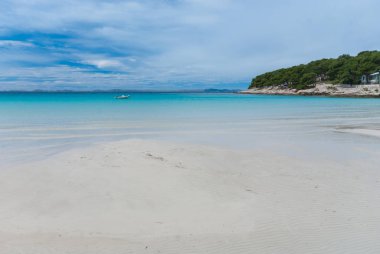güzel defne Slanica Murter Adası, Dalmaçya, Hırvatistan