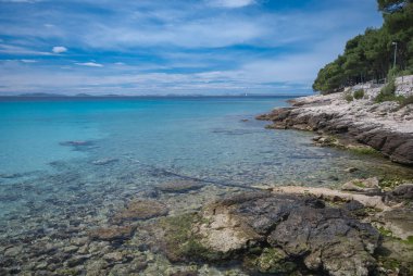 güzel defne Slanica Murter Adası, Dalmaçya, Hırvatistan