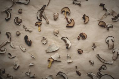 Kağıt üzerinde kurutulmuş mantar dilimleri