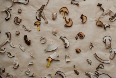 Kağıt üzerinde kurutulmuş mantar dilimleri