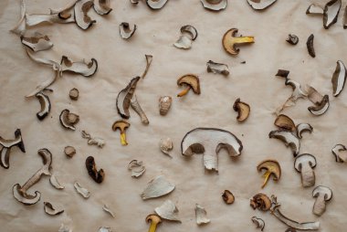 Kağıt üzerinde kurutulmuş mantar dilimleri