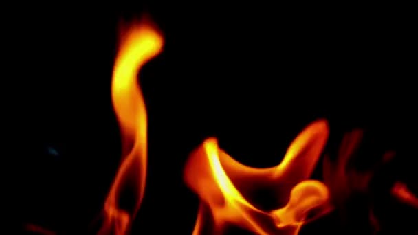 Plamen ohně — Stock video