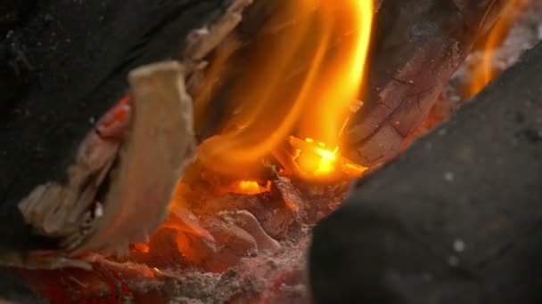 Tűz a lángok — Stock videók