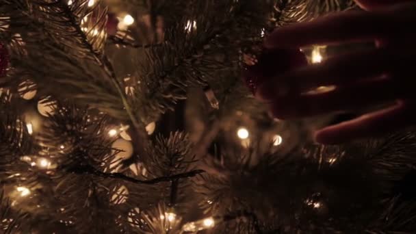 Рождественский фон — стоковое видео