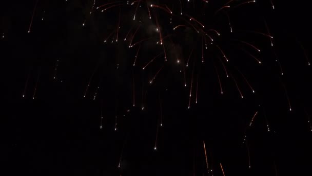 Színes tűzijáték fények — Stock videók