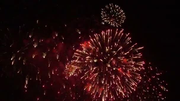 Luzes coloridas de fogo de artifício — Vídeo de Stock