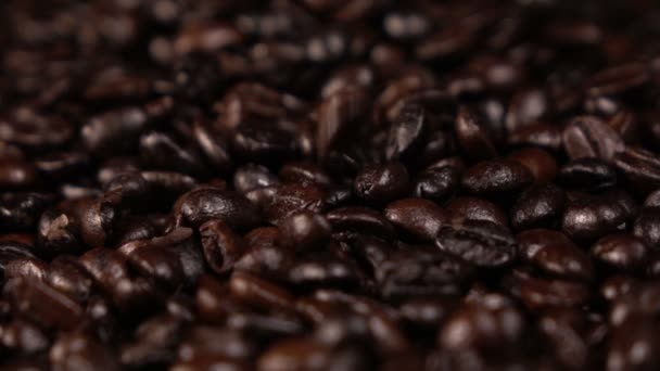 Koffie bean — Stockvideo