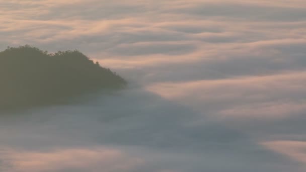 霧山の風景 ストック動画