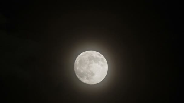 रात के आकाश में पूर्ण चंद्रमा — स्टॉक वीडियो