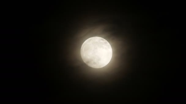 밤 하늘의 보름달 — 비디오