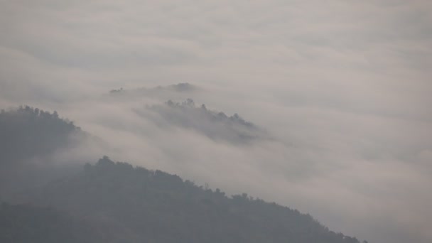 Ceață de munte — Videoclip de stoc