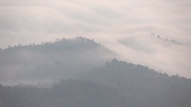 動く霧の風景 — ストック動画