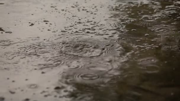 Regen fällt Stadtstraße — Stockvideo