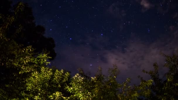 W nocy gwiazdy niebo — Wideo stockowe