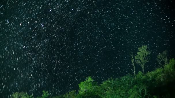 Sentiers étoilés dans le ciel nocturne — Video