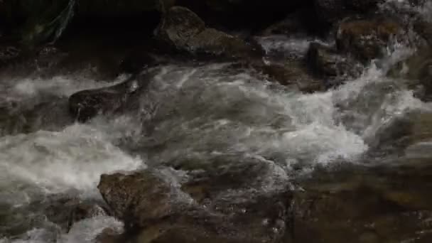 Wasserfall im Wald — Stockvideo