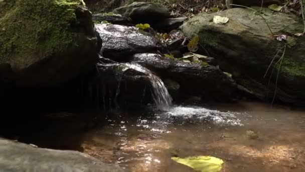 Wodospad w lesie — Wideo stockowe