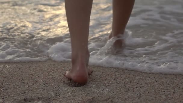 Caminhando na praia — Vídeo de Stock