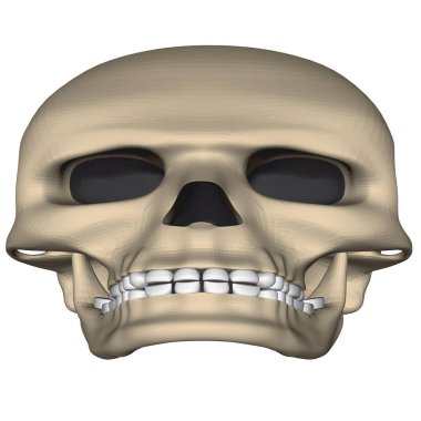 karikatür kafatası