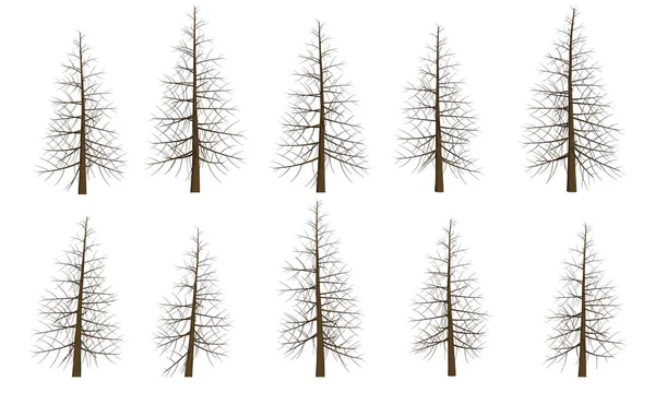 Ağaçları ile ayarla — Stok Vektör
