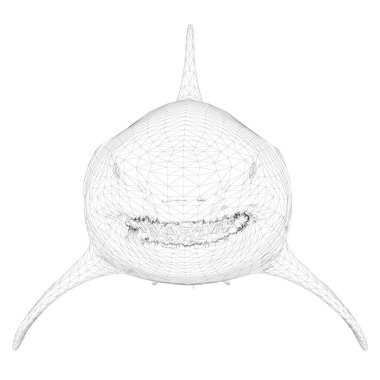 Çokgen 3B köpekbalığı. Beyaz arka plan üzerinde izole tehlikeli köpek balığı. Köpekbalığı bir çokgen mesh ile kaplıdır. Önden Görünüm. Vektör çizim.