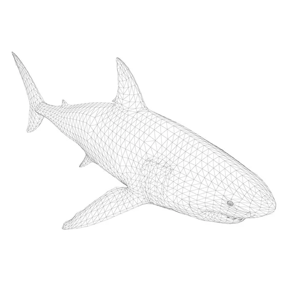 Polygona 3d Shark — Stock vektor