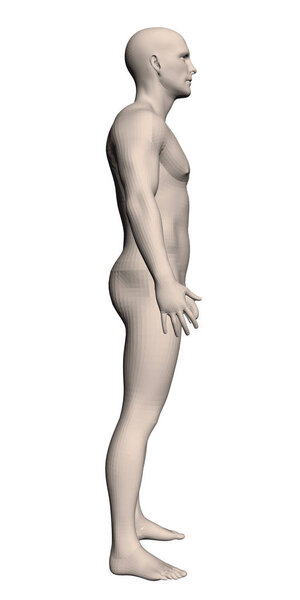 Реалистичный человек
