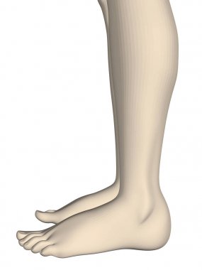 bir kızın bacakları