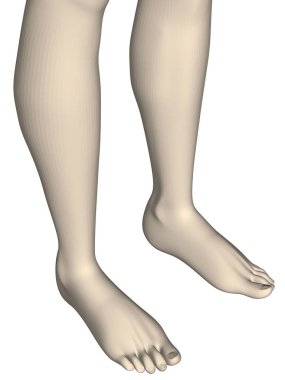 bir kızın bacakları