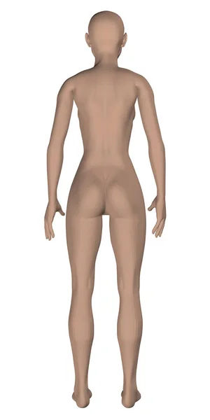 Gadis telanjang yang realistis - Stok Vektor