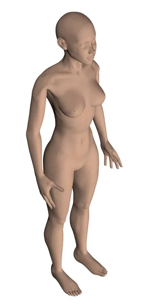 Réaliste fille nue — Image vectorielle