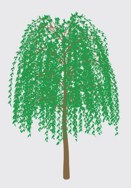 Дерево с зелеными листьями — стоковый вектор