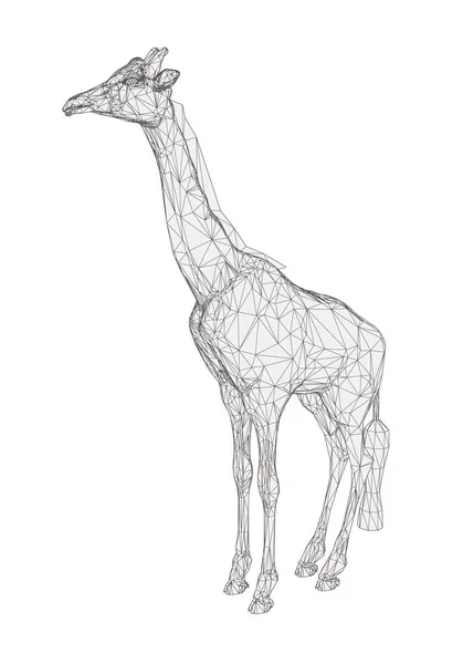 Girafe polygonale — Image vectorielle