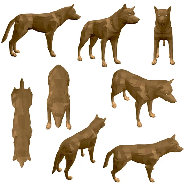 Ensemble avec coyote polygonal. Coyote brun avec une vue différente. 3D. Illustration vectorielle — Image vectorielle