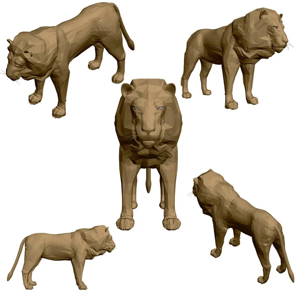 Beyaz arka planda izole edilmiş çokgen aslanla ayarlayın. Farklı bakış açılarından aslan. Üç boyutlu. Vektör illüstrasyonu — Stok Vektör