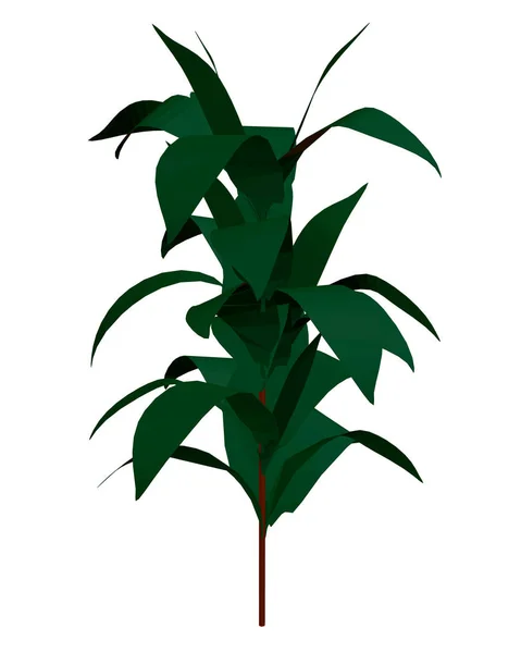 Растение со многими зелеными листьями изолированы на белом фоне. 3D. Векторная иллюстрация — стоковый вектор