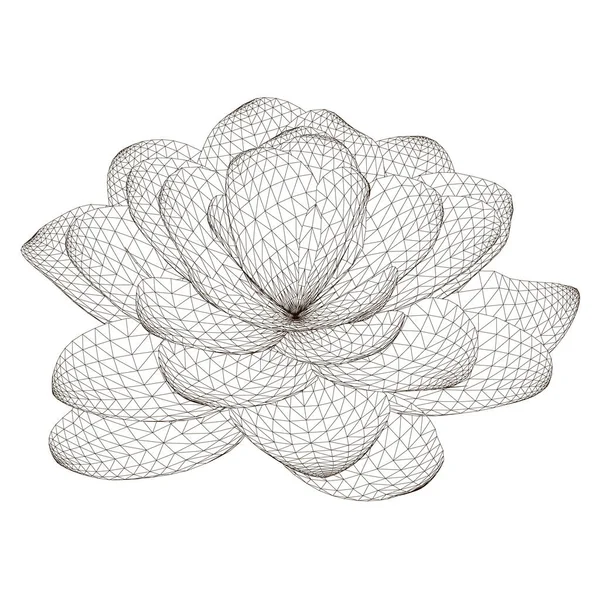 Багатокутна квіткова каркас ізольовано на білому тлі. Перегляд ізометричний. 3D. Векторні ілюстрації — стоковий вектор