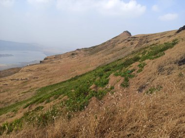 Gökyüzü arkaplanlı güzel doğal manzara