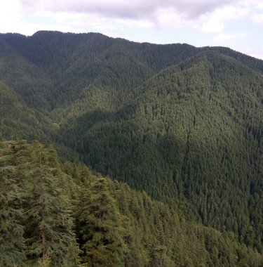 Doğal manzara dağları Shimala vadisinde yeşillik