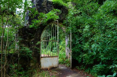Ağaçlarda demir kapılar olan taş çitler..