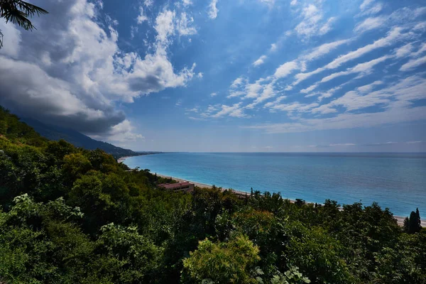 Gökyüzü bulutları deniz ağaçları
