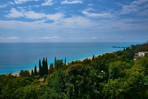 Gökyüzü bulutları deniz ağaçları