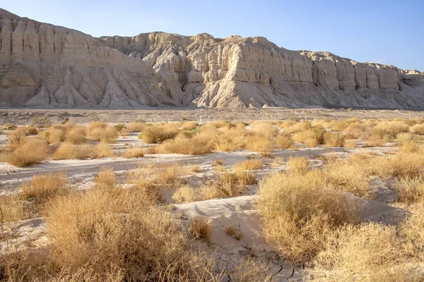 Widok na piaszczyste góry i dolinę z suchą roślinnością i pękniętą ziemią na judejskiej pustyni — Zdjęcie stockowe