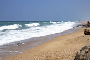 Ashkelon Ulusal Parkı kıyılarında taştan oluşumları ve köpük dalgaları olan deniz sahili.