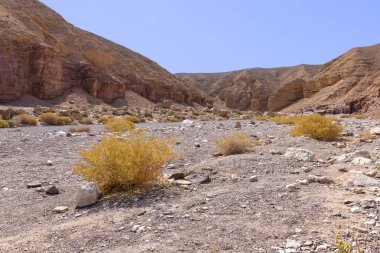 Mavi gökyüzüne karşı Eilat Red Canyon vadisi ve renkli dağların manzarası